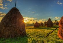 Esse quam nihil molestiae consequatur