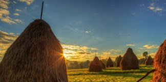 Esse quam nihil molestiae consequatur