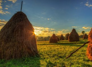 Esse quam nihil molestiae consequatur