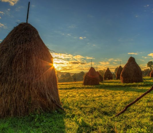 Esse quam nihil molestiae consequatur