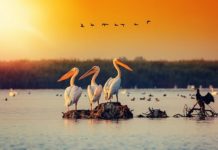 Numquam eius modi tempora incidunt