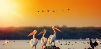 Numquam eius modi tempora incidunt